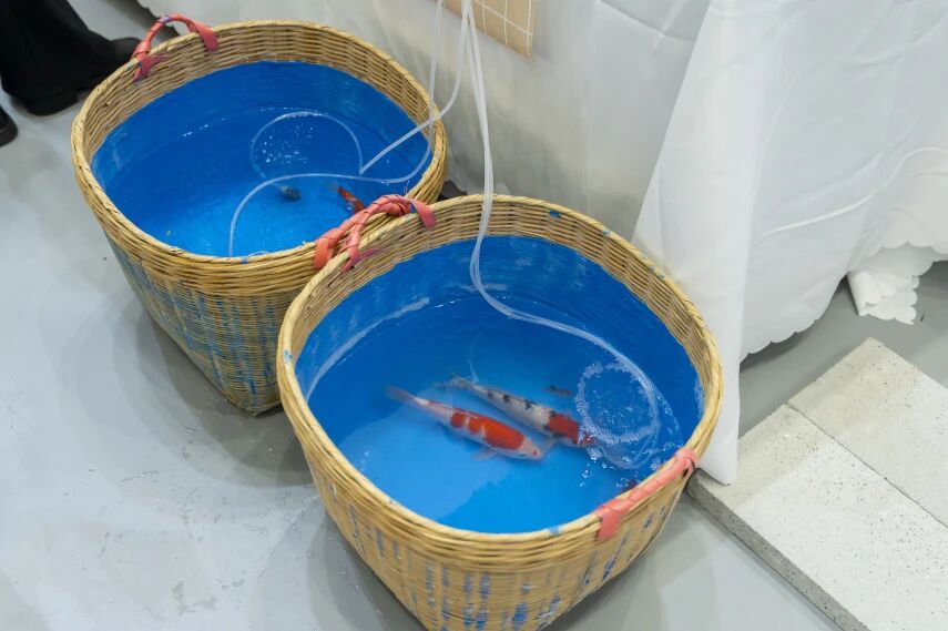 1765523346806749.jpg 微信图片_2025-12-12_150447_952.jpg